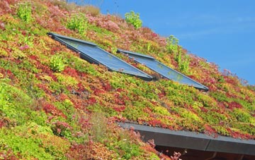 Higher Croft living roof systems