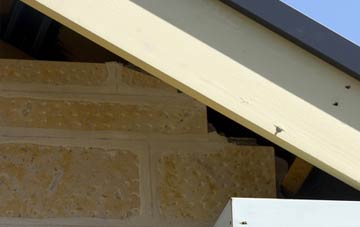 soffit repair Higher Croft