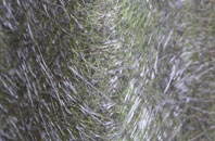 Higher Croft fibreglass roof work